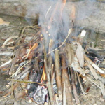 Team Bushcraft Survival Activity